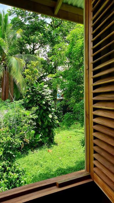 Old Bocasso Hostel Bocas Town Exterior foto